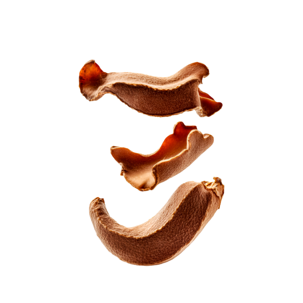 <strong>Ganoderma lucidum</strong>